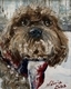 Ruffy