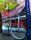 The Orange Bike