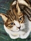 Simon