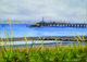 Sailboats on the White Rock Pier
