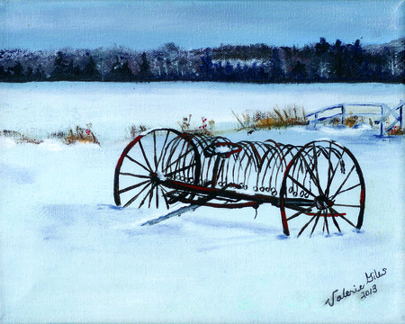 Winter Rake